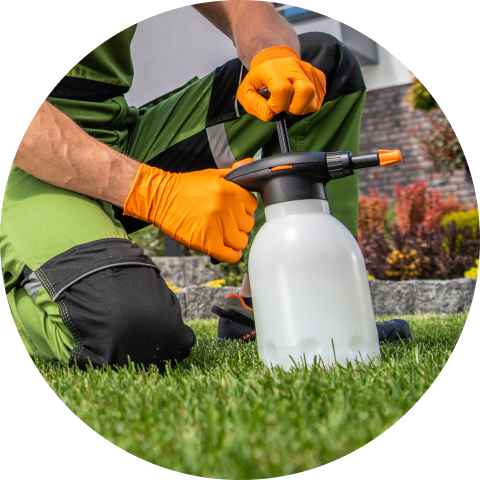 lawn insect control columbus ohio
