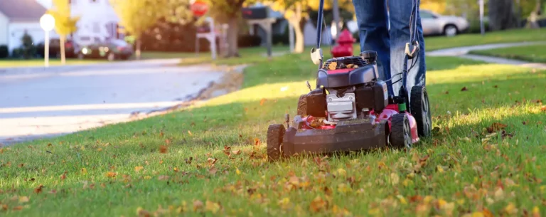 how to select the best lawn mower for your lawn