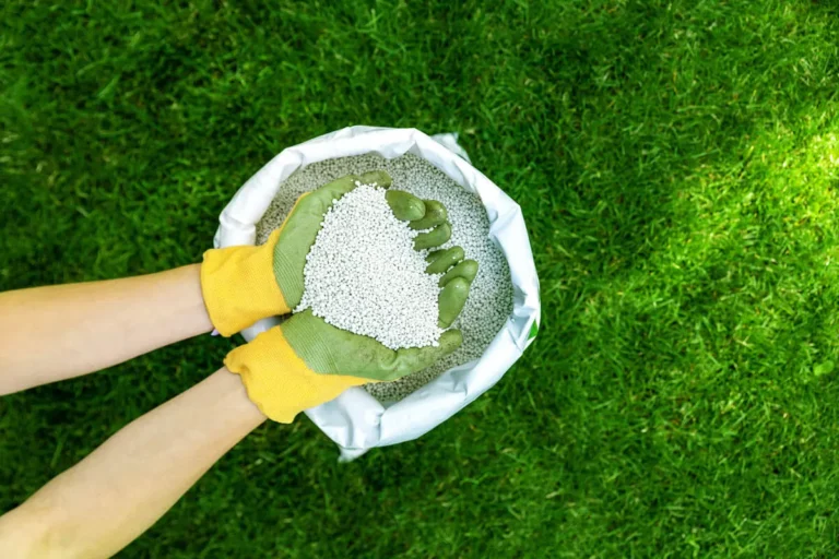 image of hands holding lawn fertilizer for spring